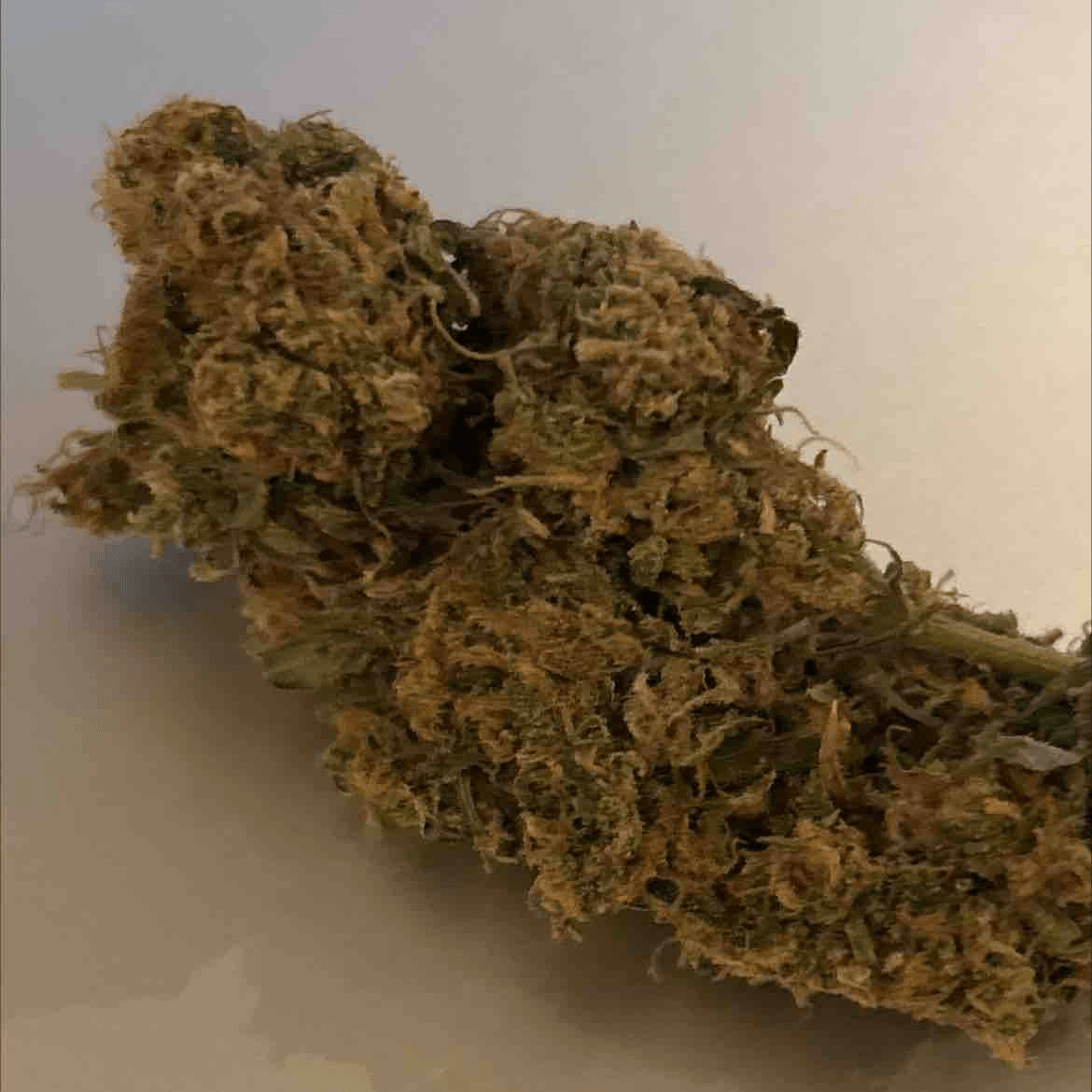 Mex Haze - NL